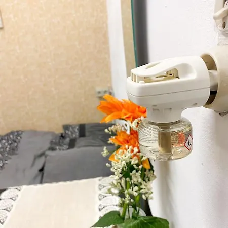 Budget Stay For Max 2Ppl * Antwerp